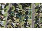 1 Nekuneku Lane, Mount Roskill, Auckland - Carousel 1