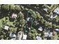181 Wade River Road, Wade Heads, Whangaparaoa - Carousel 1