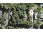 21 Waima Crescent, Titirangi, Auckland - Carousel 1