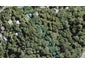 185 Victory Road, Laingholm, Auckland - Carousel 1