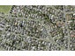 44 Drake Street, Howick, Auckland - Carousel 1