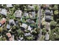 116 Canongate Street, Birkdale, Auckland - Carousel 1