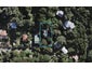 23 Omiha Road, Omiha, Waiheke Island - Carousel 1