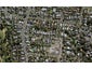 16 Ara Street, Remuera, Auckland - Carousel 1