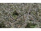 1/37 Caribbean Drive, Unsworth Heights, Auckland - Carousel 1