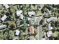 40 Mawson Avenue, Torbay, Auckland - Carousel 1