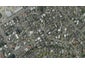 35 Epsom Road, Hokowhitu, Palmerston North - Carousel 1