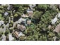 11A Iberia Place, Lynfield, Auckland - Carousel 1