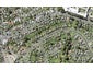 24 Leybourne Circle, Glen Innes, Auckland - Carousel 1