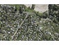 8 Kiwi Street, Oneroa, Waiheke Island - Carousel 1