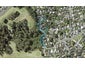 11 Tree Fern Trail, Campbells Bay, Auckland - Carousel 1
