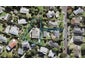 120 Canongate Street, Birkdale, Auckland - Carousel 1
