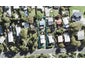 10A PENTON RD, Stanmore Bay, Auckland - Carousel 1