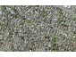1/5 Sirius Place, Botany Downs, Auckland - Carousel 1