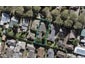 8 Empire Road, Epsom, Auckland - Carousel 1
