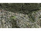 64 Spinella Drive, Bayview, Auckland - Carousel 1