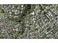 31A Glen Atkinson Street, Saint Heliers, Auckland - Carousel 1