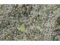 3 Weetman Drive, Browns Bay, Auckland - Carousel 1