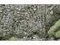 8 Tauhara Street, Green Bay, Auckland - Carousel 1