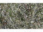 24B Batkin Road, New Windsor, Auckland - Carousel 1