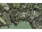 55 Chatham Avenue, Paremoremo, Auckland - Carousel 1