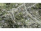 141 Glenvar Road, Torbay, Auckland - Carousel 1