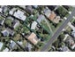 10 Owens Road, Waiuku, Waiuku - Carousel 1