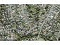 34 Sealy Road, Torbay, Auckland - Carousel 1