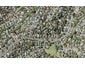 120 Oaktree Avenue, Browns Bay, Auckland - Carousel 1
