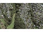 61 Rawene Road, Birkenhead, Auckland - Carousel 1