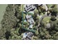 30 Kingfisher Grove, Greenhithe, Auckland - Carousel 1