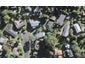 11 Newstead Avenue, Browns Bay, Auckland - Carousel 1
