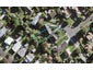 41 Preston Avenue, Mount Albert, Auckland - Carousel 1