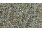 14 Rene Place, Sunnyhills, Auckland - Carousel 1