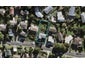 15 Finn Place, Totara Vale, Auckland - Carousel 1