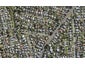 5 Beatrix Street, Avondale, Auckland - Carousel 1
