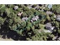 53 Arapito Road, Titirangi, Auckland - Carousel 1