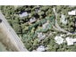 21 Waitohu Road, York Bay, Lower Hutt - Carousel 1