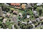 5 Barclay Avenue, Mount Roskill, Auckland - Carousel 1