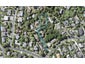 55 Penzance Road, Mairangi Bay, Auckland - Carousel 1