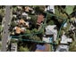 9 Ranui Road, Remuera, Auckland - Carousel 1