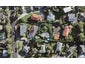 38 Whitney Street, New Windsor, Auckland - Carousel 1