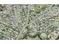 2 Tiri Road, Manly, Whangaparaoa - Carousel 1