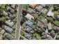 10 Eaton Road, Hillsborough, Auckland - Carousel 1