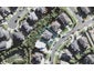 58 Travis View Drive, Fairview Heights, Auckland - Carousel 1