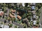 1/123 Aranui Road, Mount Wellington, Auckland - Carousel 1
