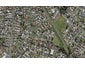 7/8 Gordon Road, Papatoetoe, Auckland - Carousel 1