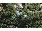 100 Scenic Drive, Titirangi, Auckland - Carousel 1