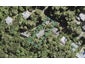 13 Valley Road, Titirangi, Auckland - Carousel 1