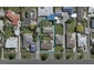 26 Chelmsford Street, Windsor, Invercargill - Carousel 1